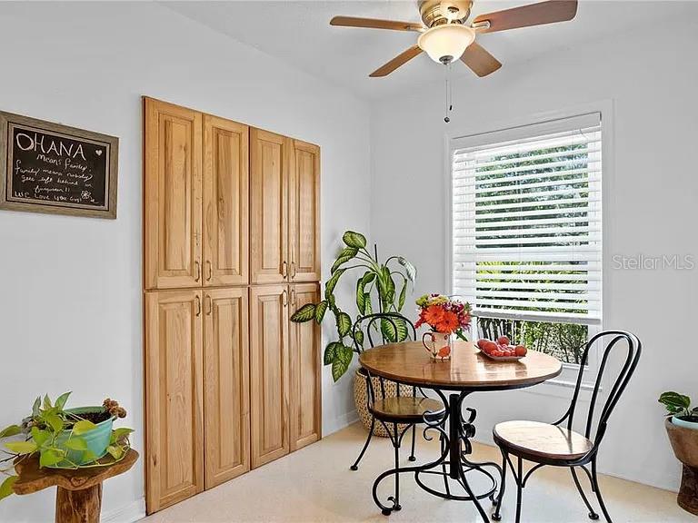 232 TIMBERLANE DR, PALM HARBOR, FL, 34683