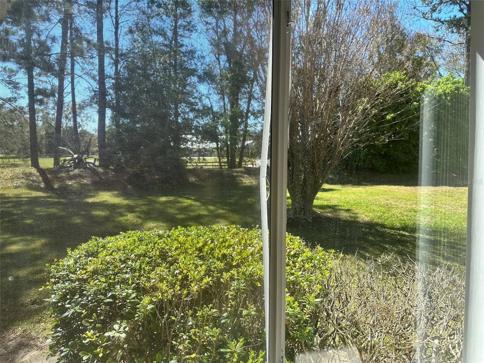 9832 SE 138TH LOOP, SUMMERFIELD, FL, 34491