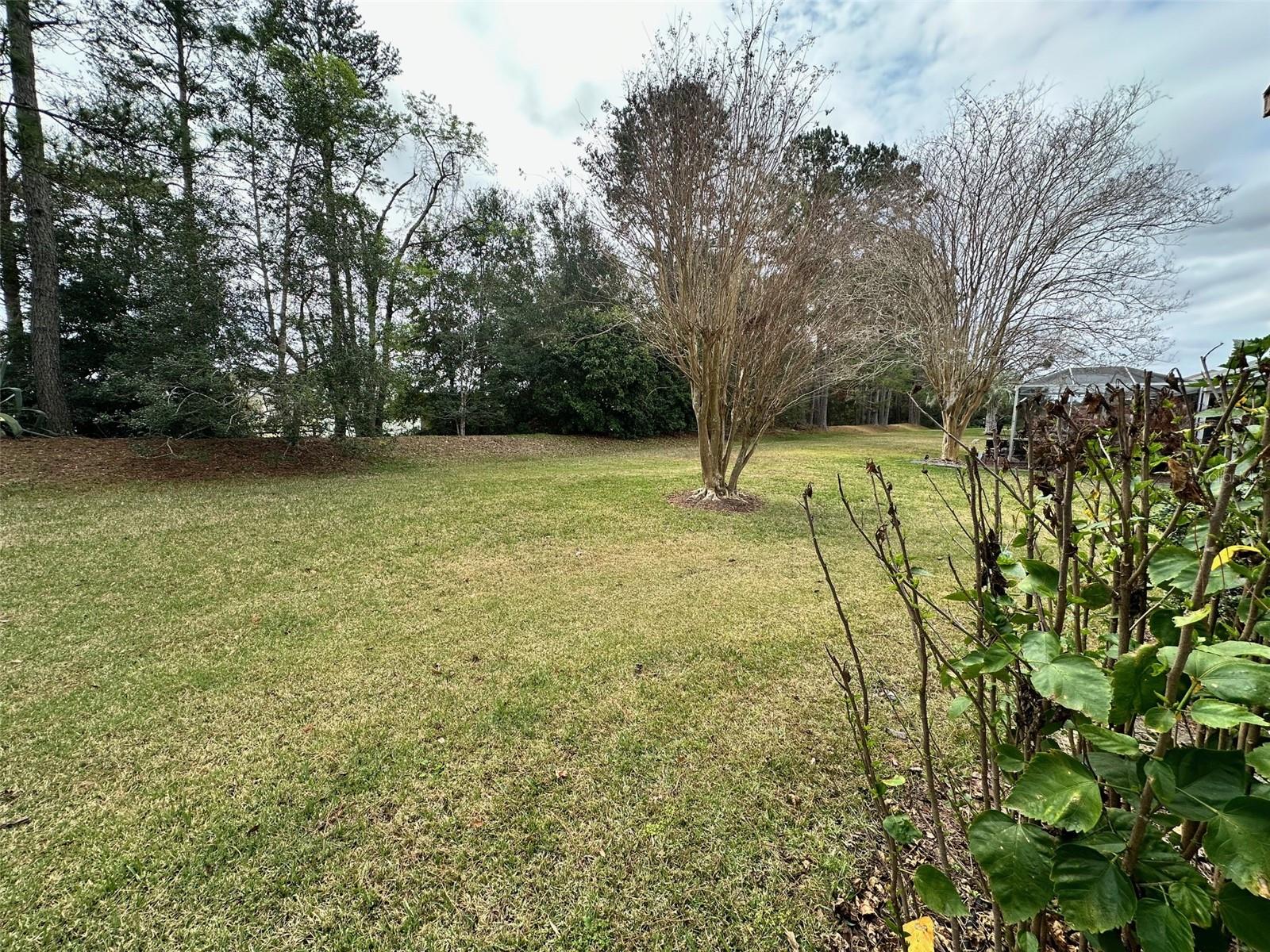9832 SE 138TH LOOP, SUMMERFIELD, FL, 34491