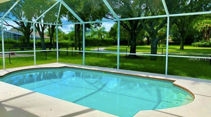 10641 FIREBRICK CT, TRINITY, FL, 34655
