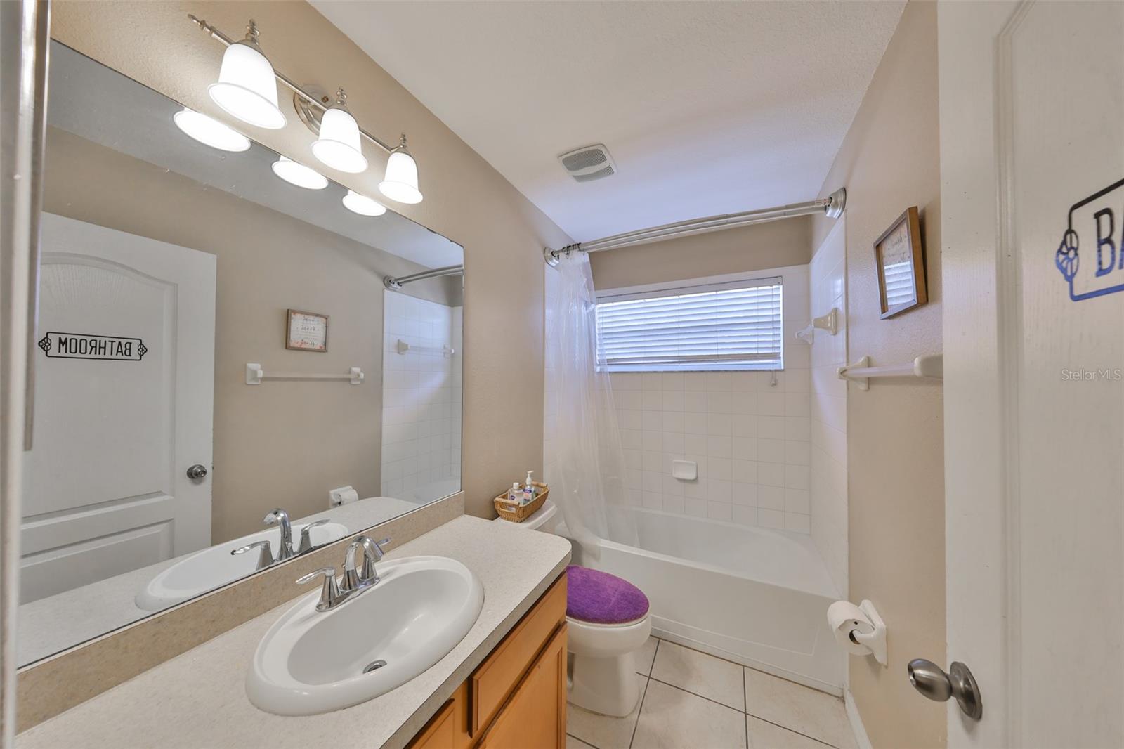 10730 SHADY PRESERVE DR, RIVERVIEW, FL, 33579