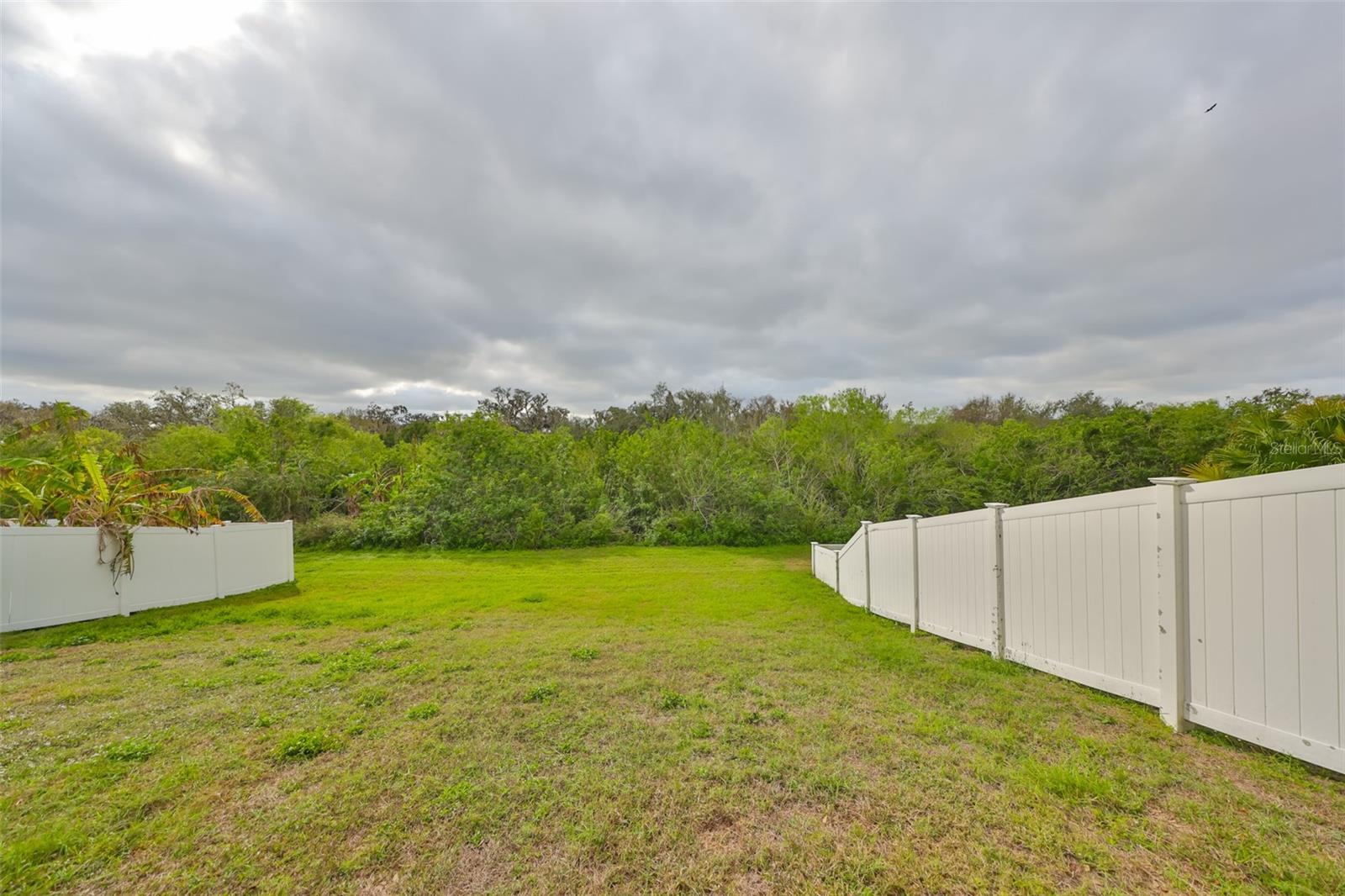 10730 SHADY PRESERVE DR, RIVERVIEW, FL, 33579
