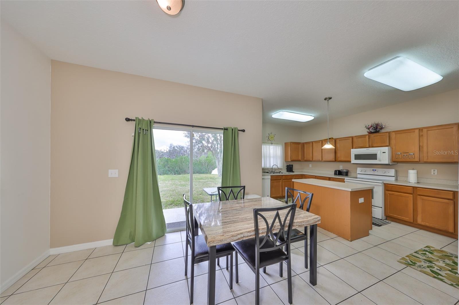 10730 SHADY PRESERVE DR, RIVERVIEW, FL, 33579