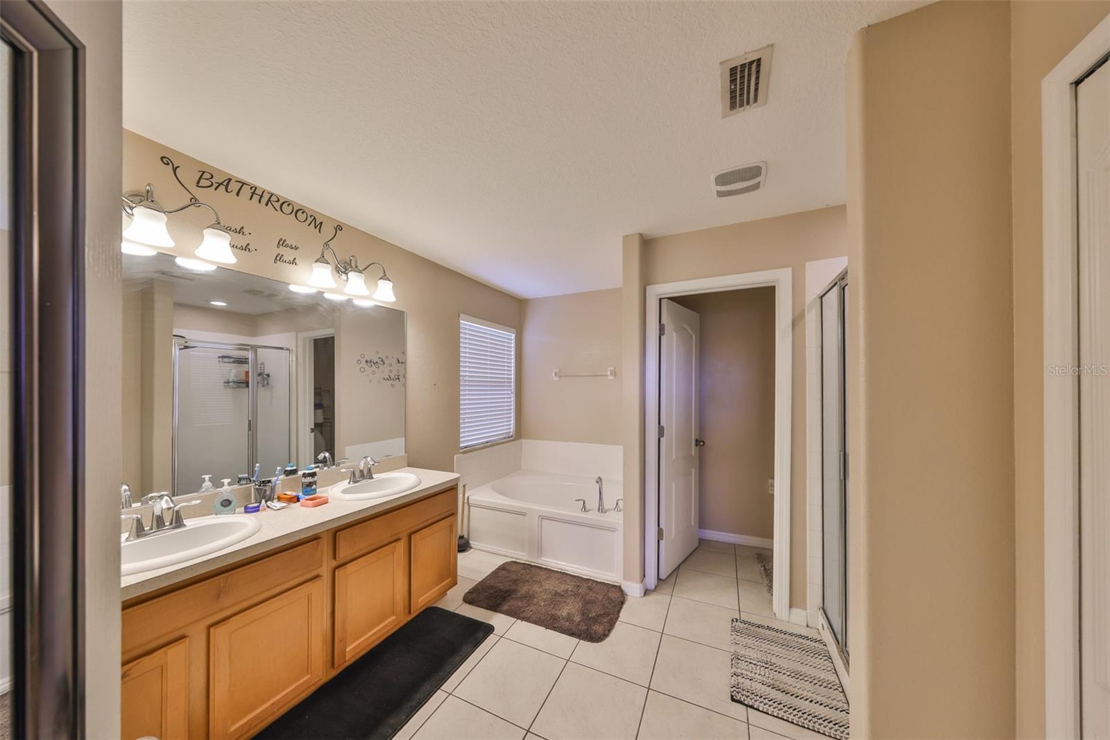 10730 SHADY PRESERVE DR, RIVERVIEW, FL, 33579