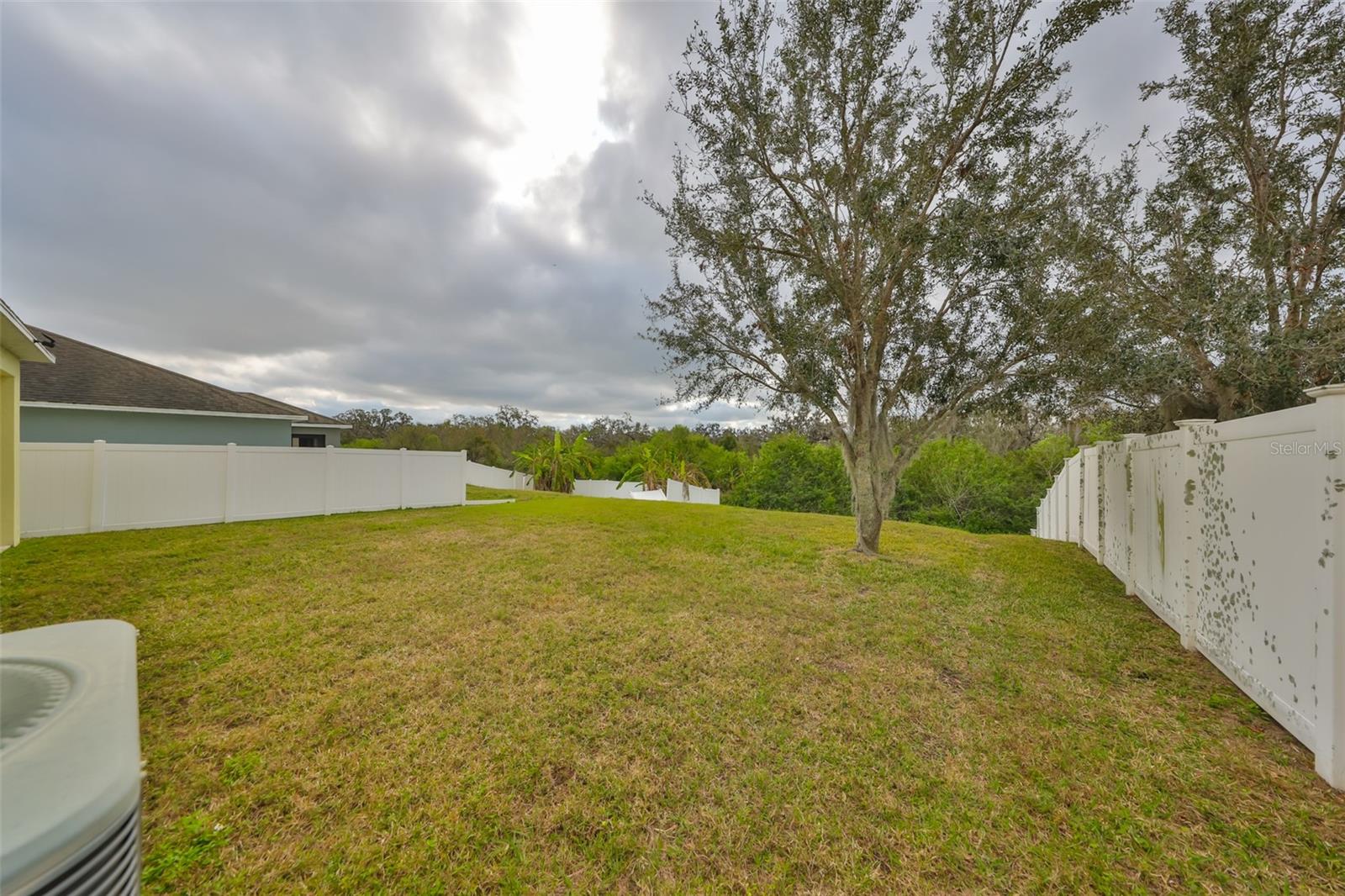 10730 SHADY PRESERVE DR, RIVERVIEW, FL, 33579