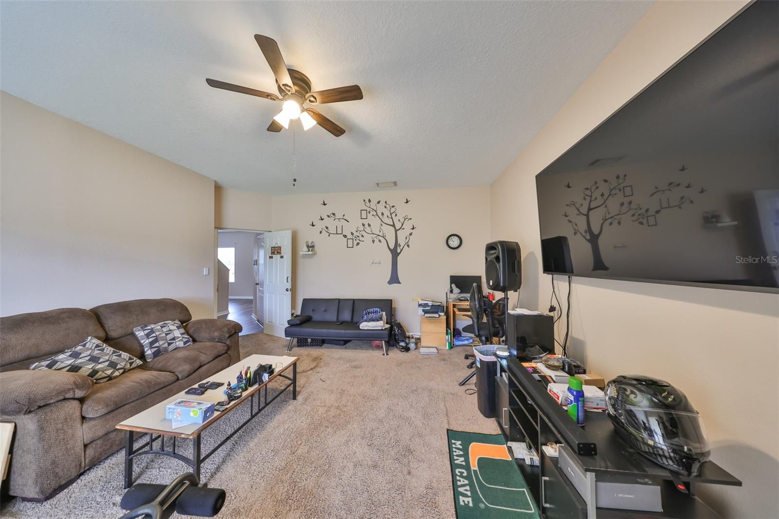 10730 SHADY PRESERVE DR, RIVERVIEW, FL, 33579