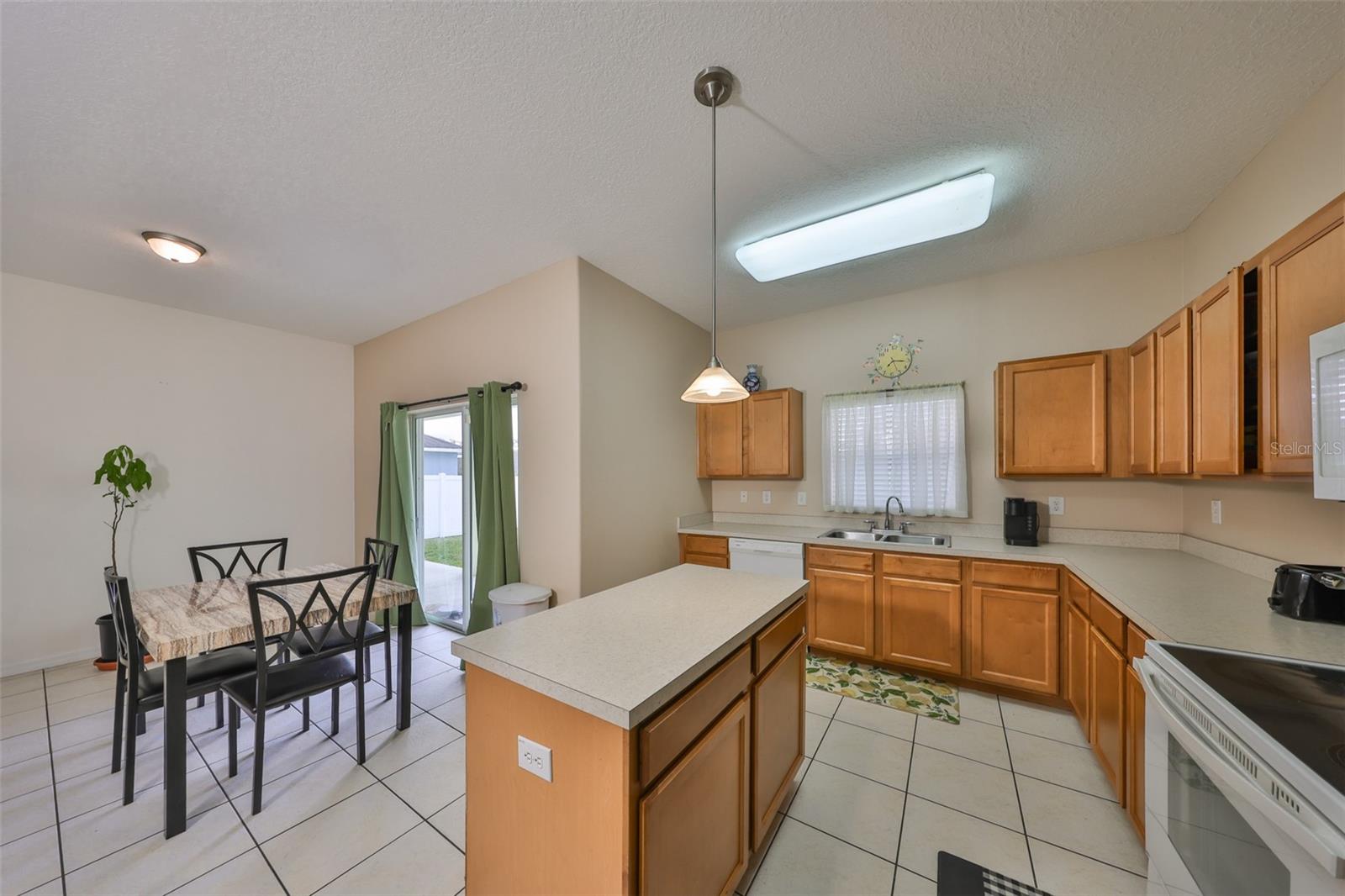 10730 SHADY PRESERVE DR, RIVERVIEW, FL, 33579