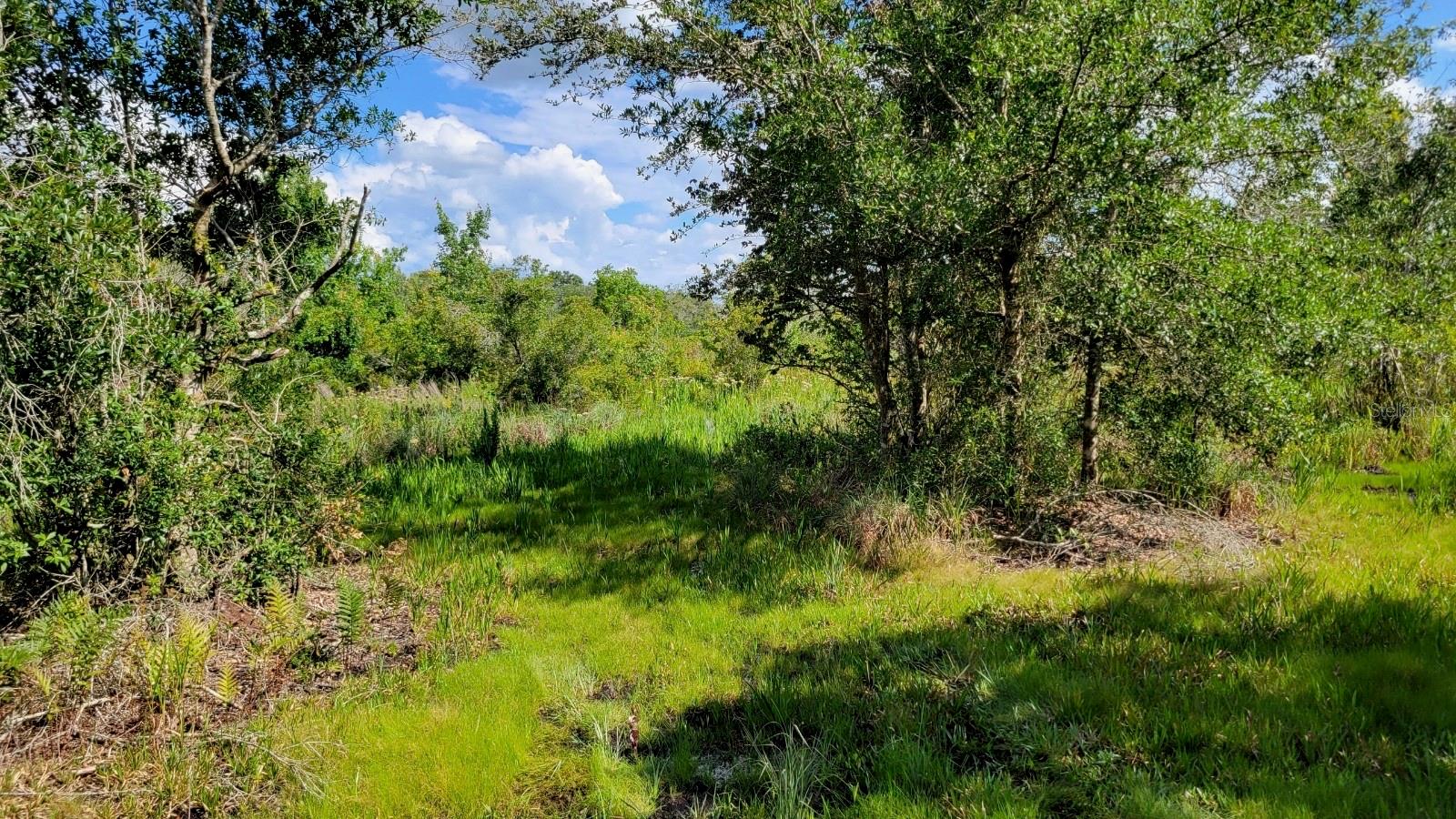 NW 300TH ST, OKEECHOBEE, FL, 34972