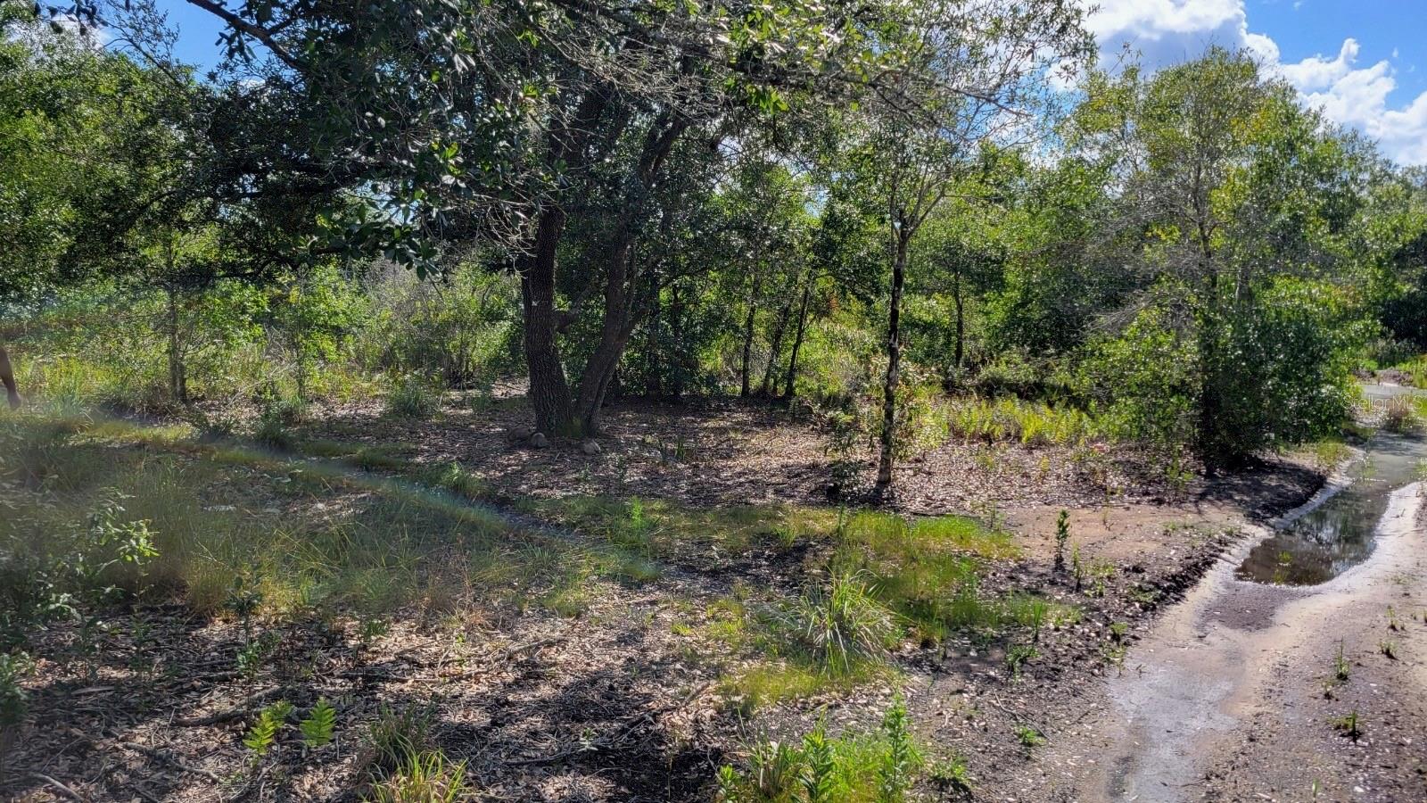 NW 300TH ST, OKEECHOBEE, FL, 34972
