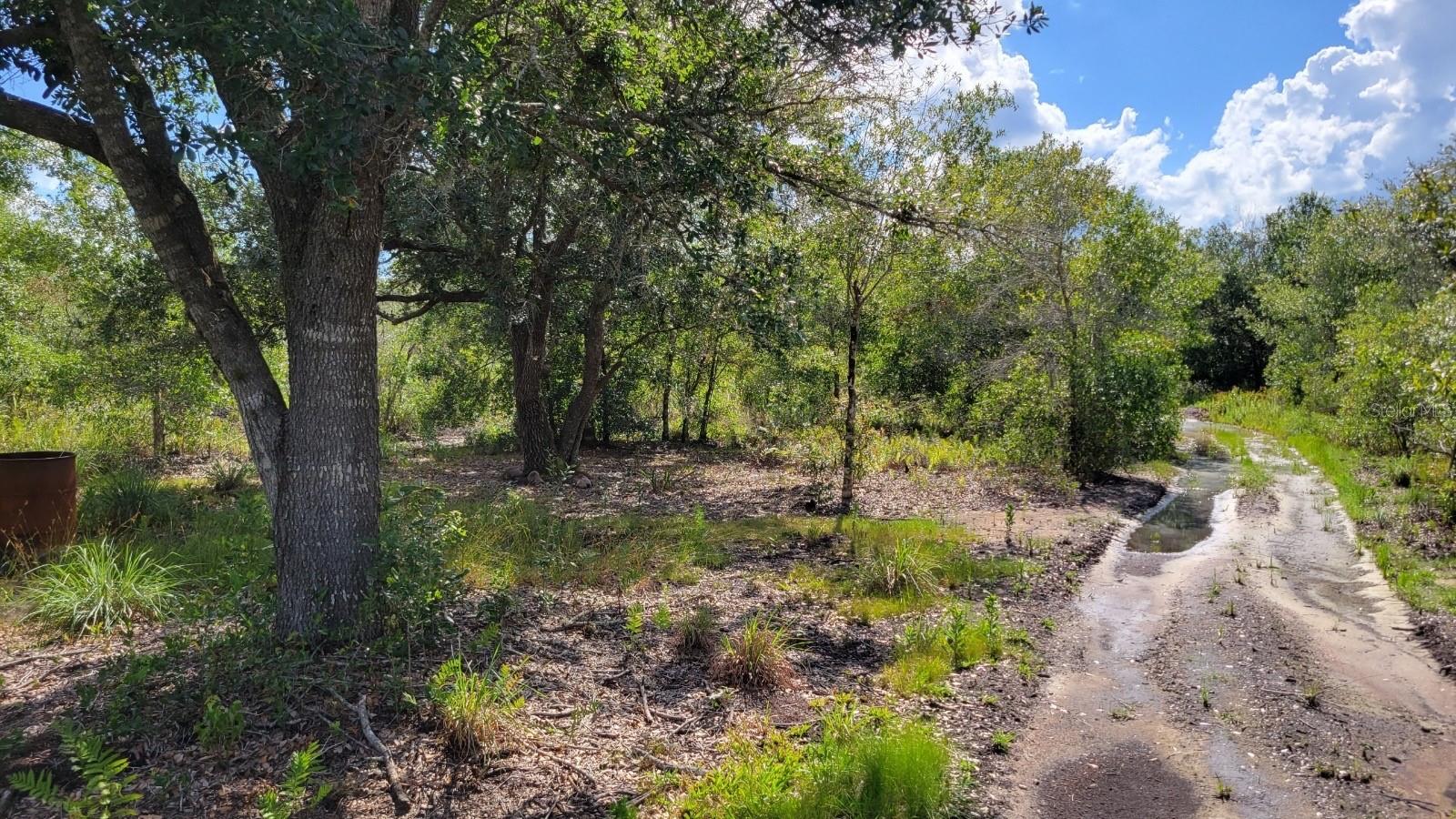 NW 300TH ST, OKEECHOBEE, FL, 34972