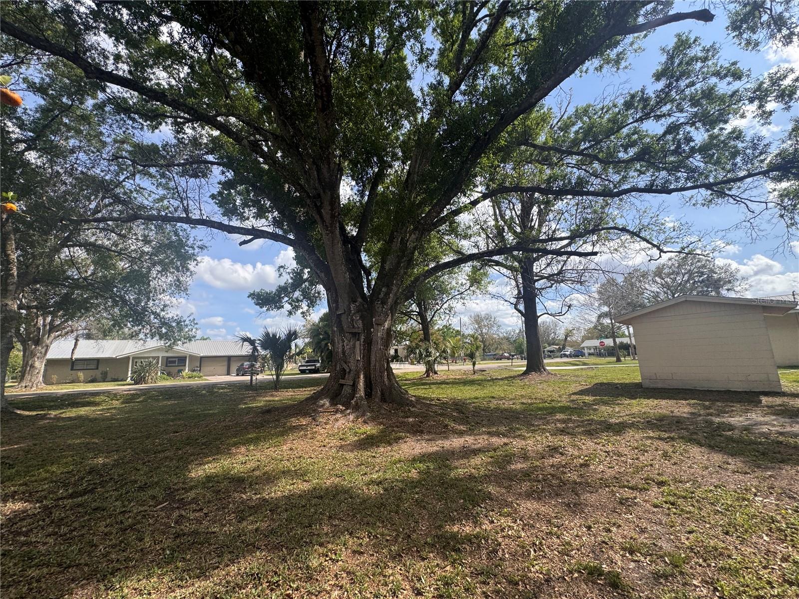 1327 SE VERMONT AVE, ARCADIA, FL, 34266