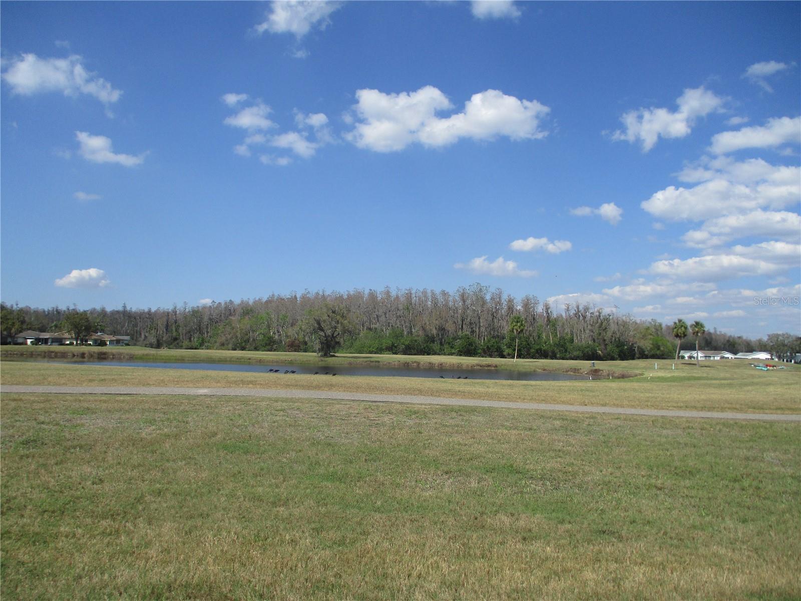 1009 HAREFIELD CIR, SUN CITY CENTER, FL, 33573