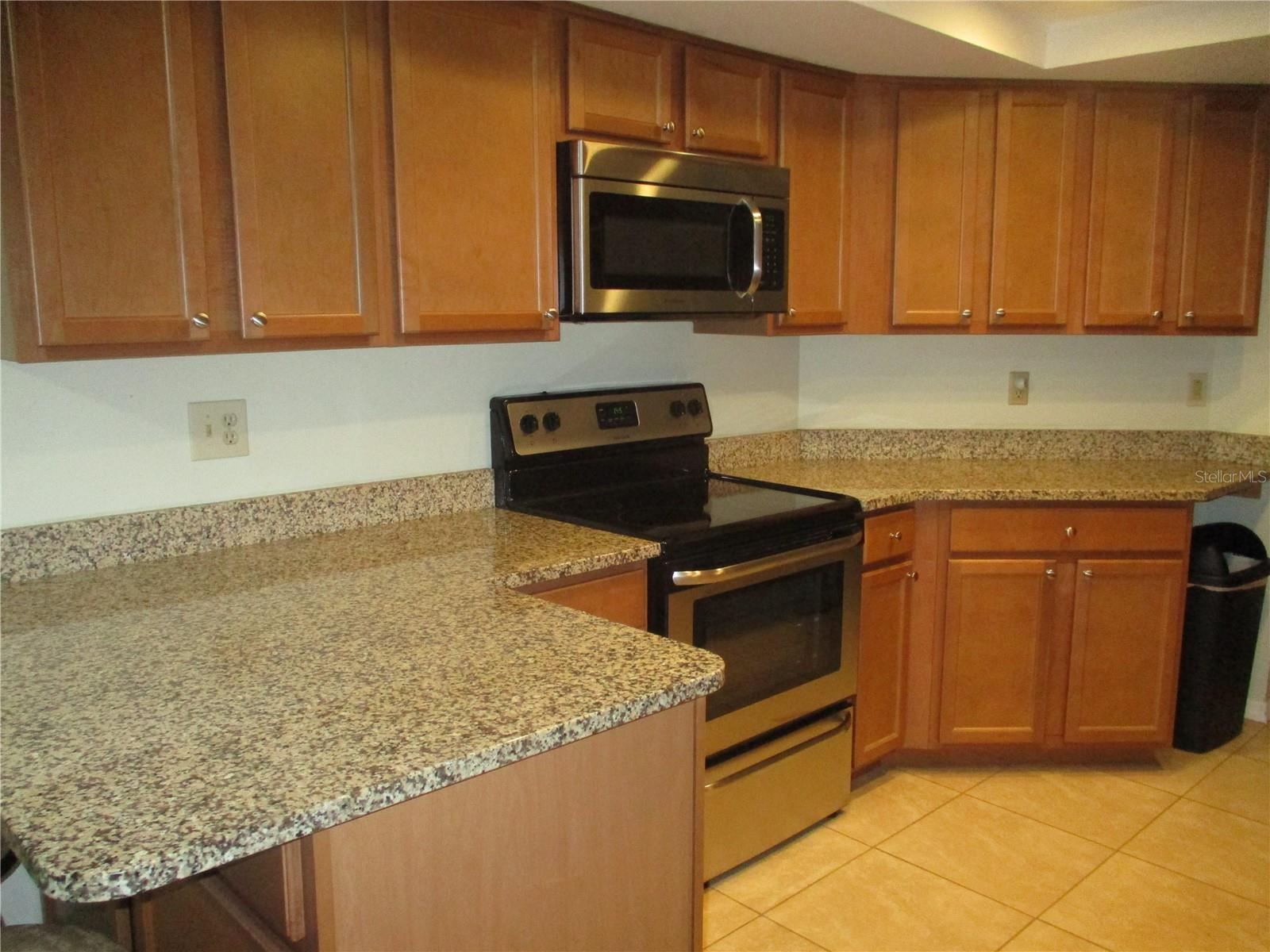 1009 HAREFIELD CIR, SUN CITY CENTER, FL, 33573