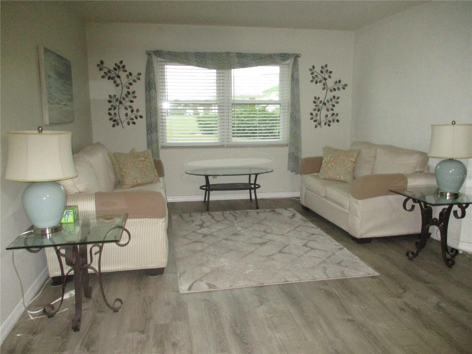 1009 HAREFIELD CIR, SUN CITY CENTER, FL, 33573
