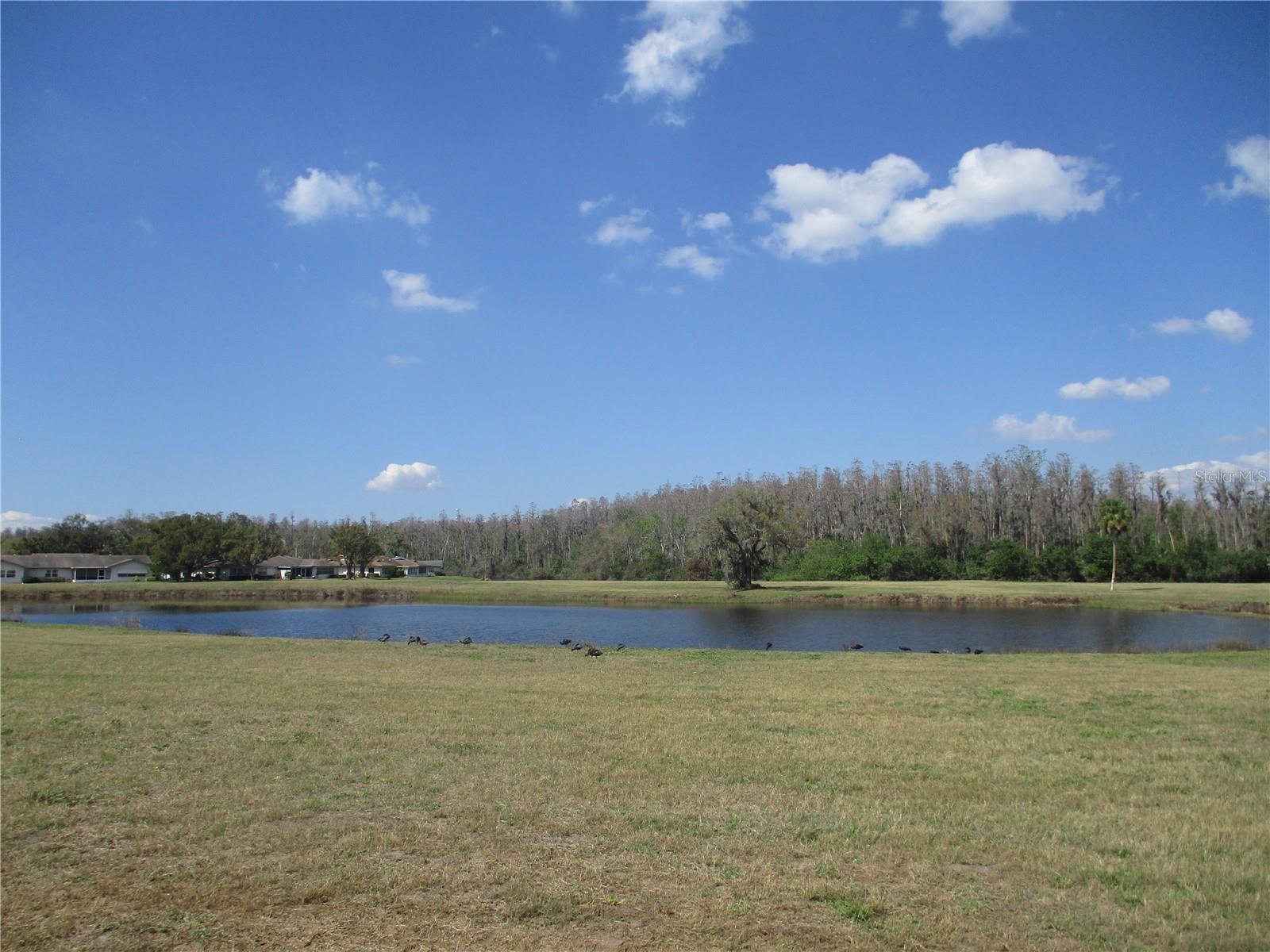 1009 HAREFIELD CIR, SUN CITY CENTER, FL, 33573
