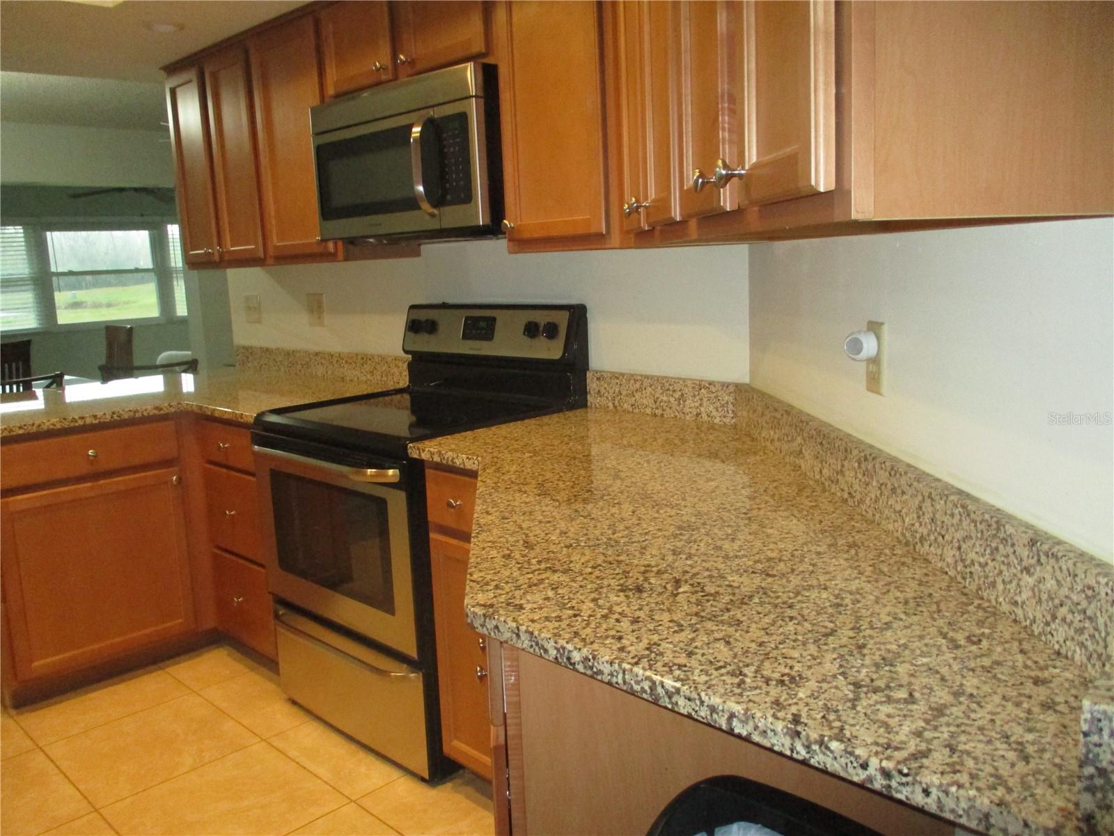 1009 HAREFIELD CIR, SUN CITY CENTER, FL, 33573