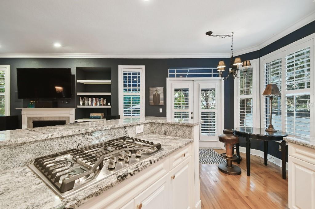 2902 BAYSHORE VISTA DR, TAMPA, FL, 33611
