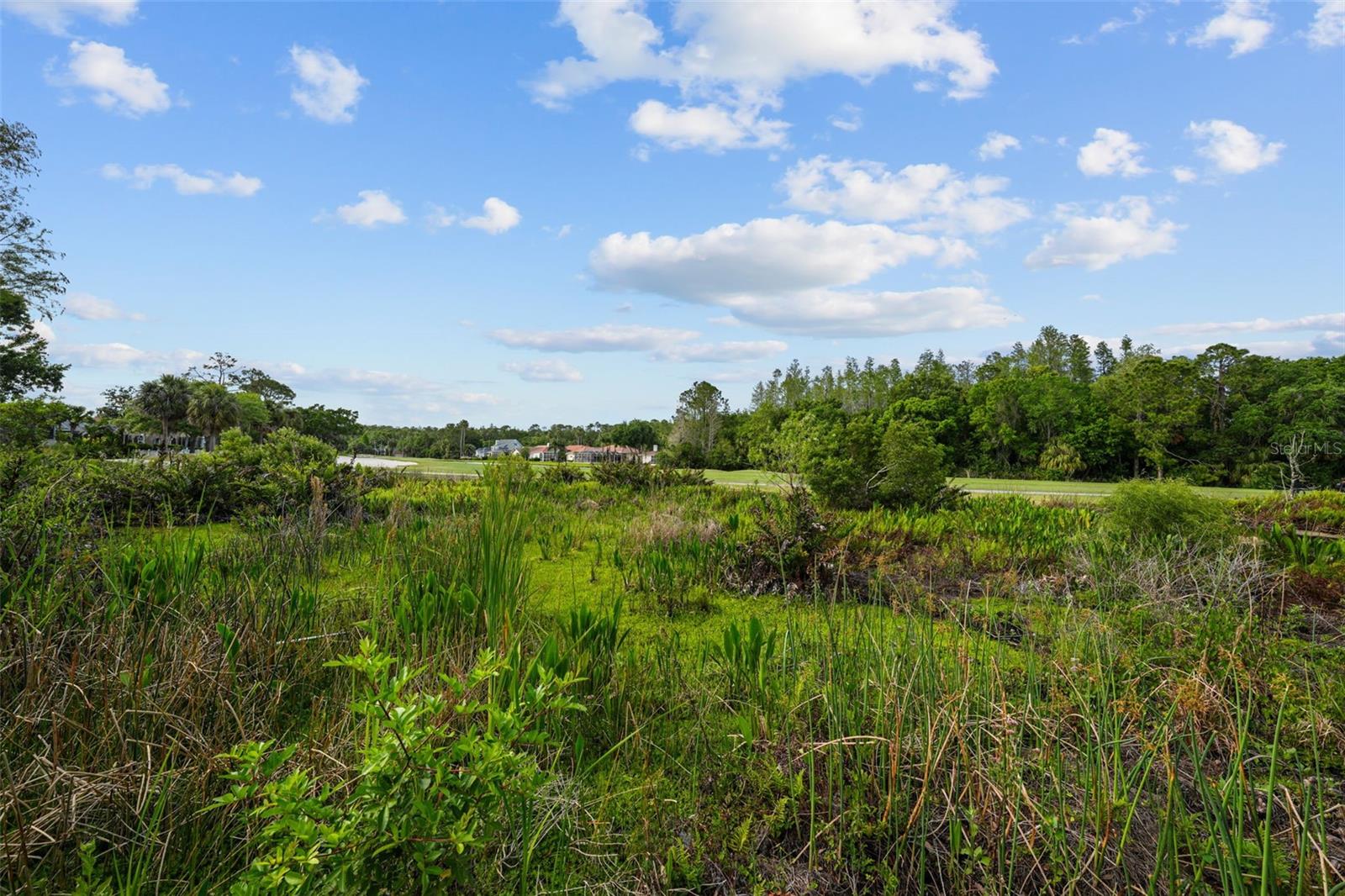 11815 MARBLEHEAD DR, TAMPA, FL, 33626