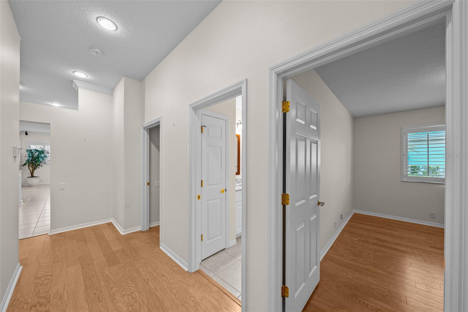 11815 MARBLEHEAD DR, TAMPA, FL, 33626