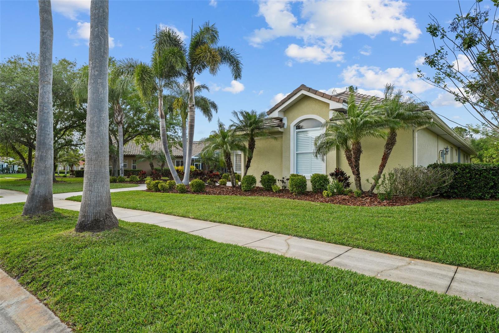 11815 MARBLEHEAD DR, TAMPA, FL, 33626