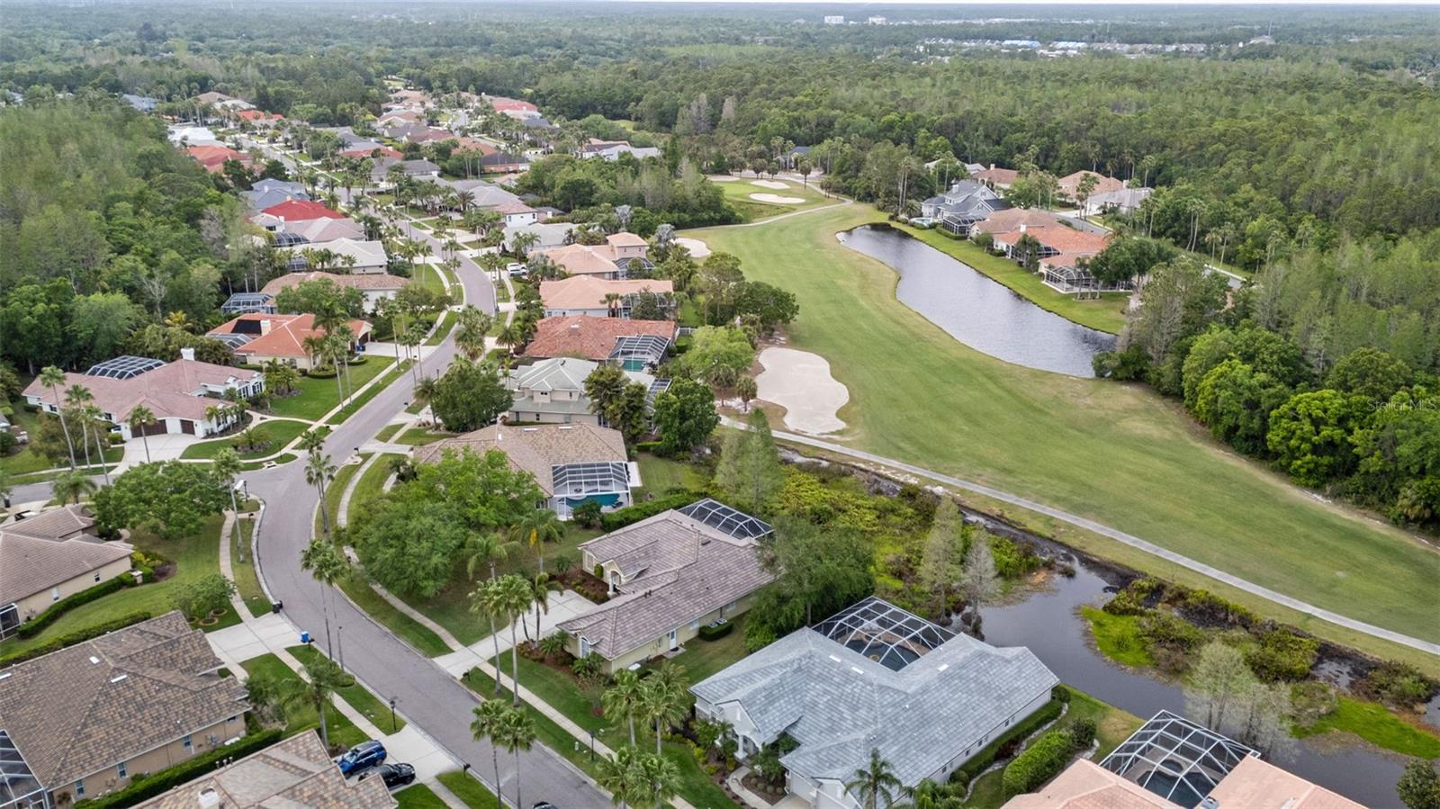 11815 MARBLEHEAD DR, TAMPA, FL, 33626