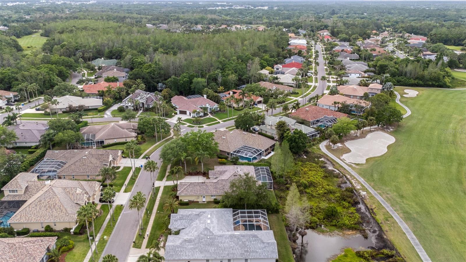 11815 MARBLEHEAD DR, TAMPA, FL, 33626