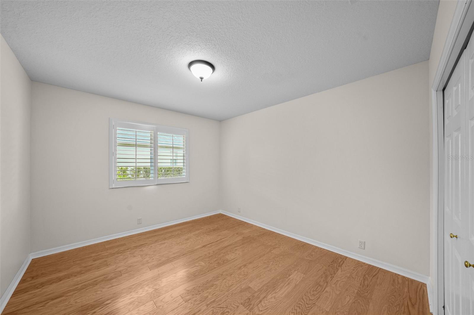 11815 MARBLEHEAD DR, TAMPA, FL, 33626