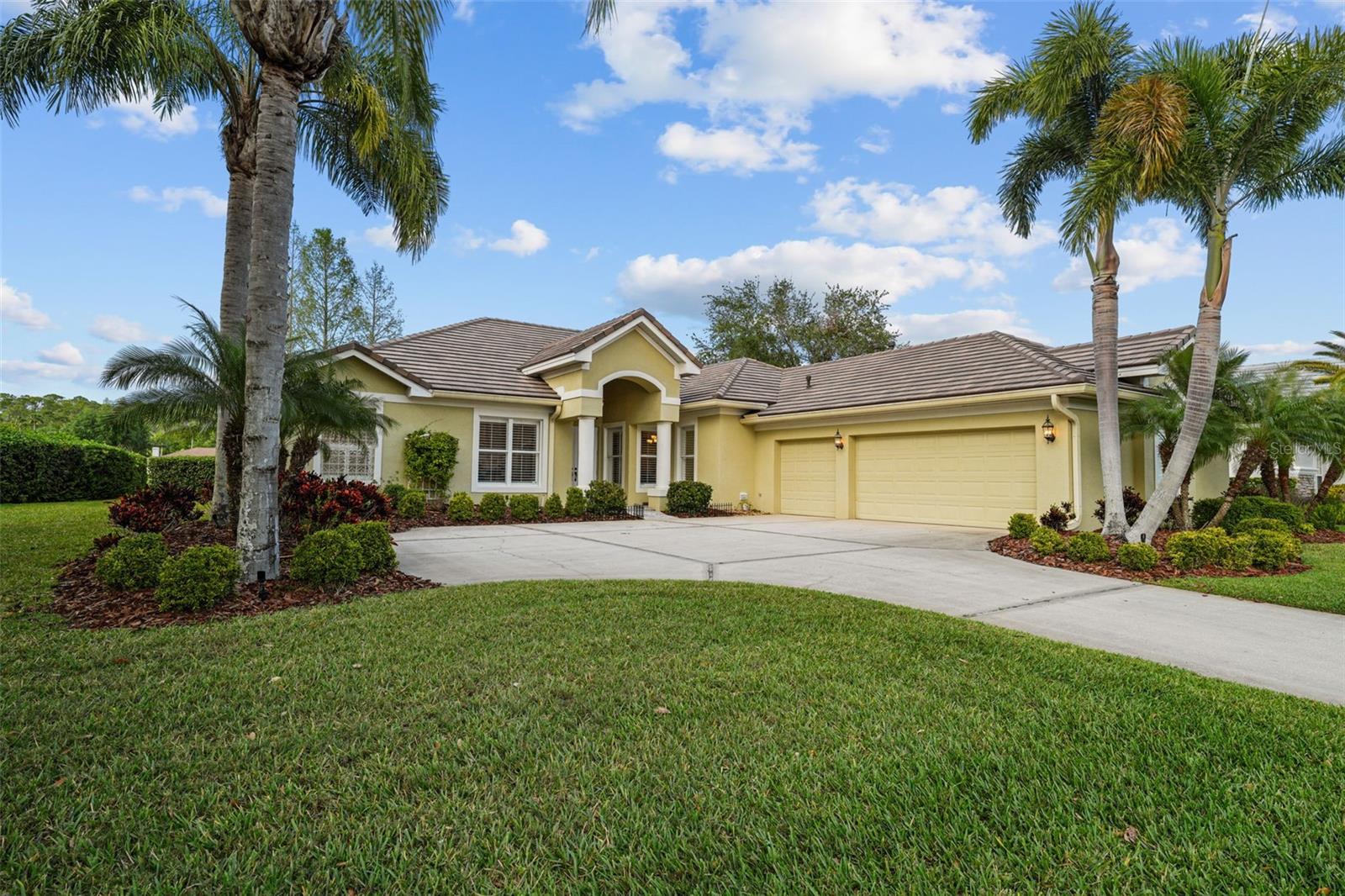 11815 MARBLEHEAD DR, TAMPA, FL, 33626