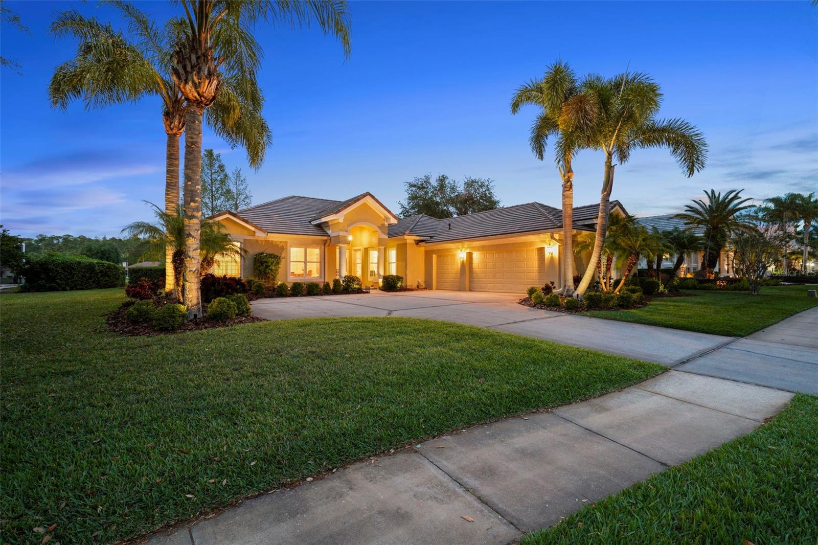 11815 MARBLEHEAD DR, TAMPA, FL, 33626