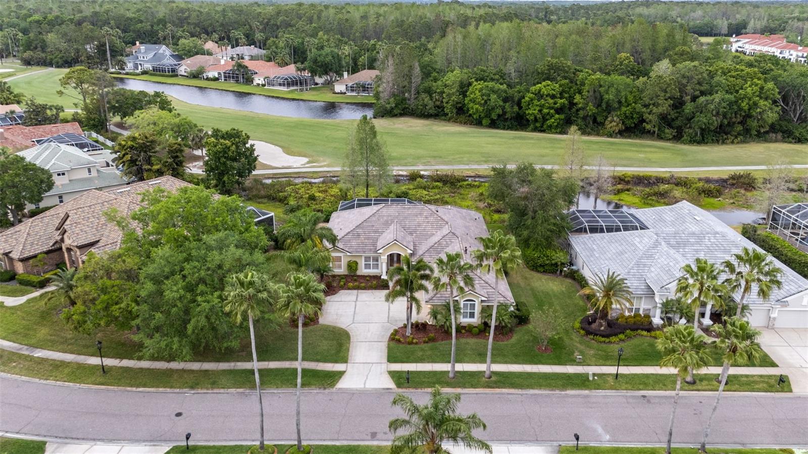 11815 MARBLEHEAD DR, TAMPA, FL, 33626