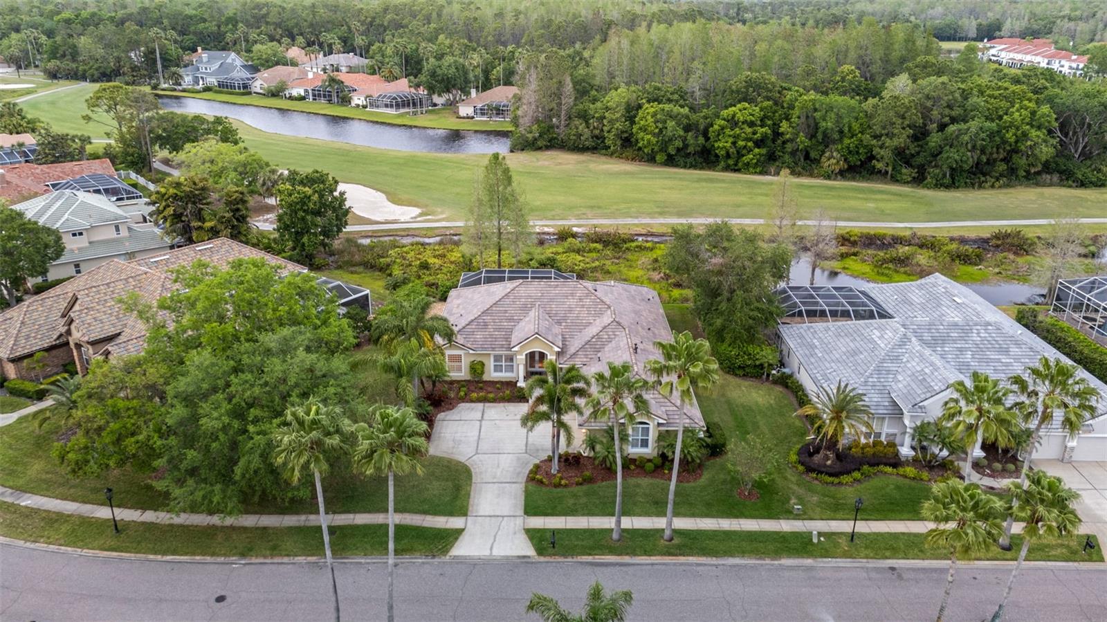 11815 MARBLEHEAD DR, TAMPA, FL, 33626