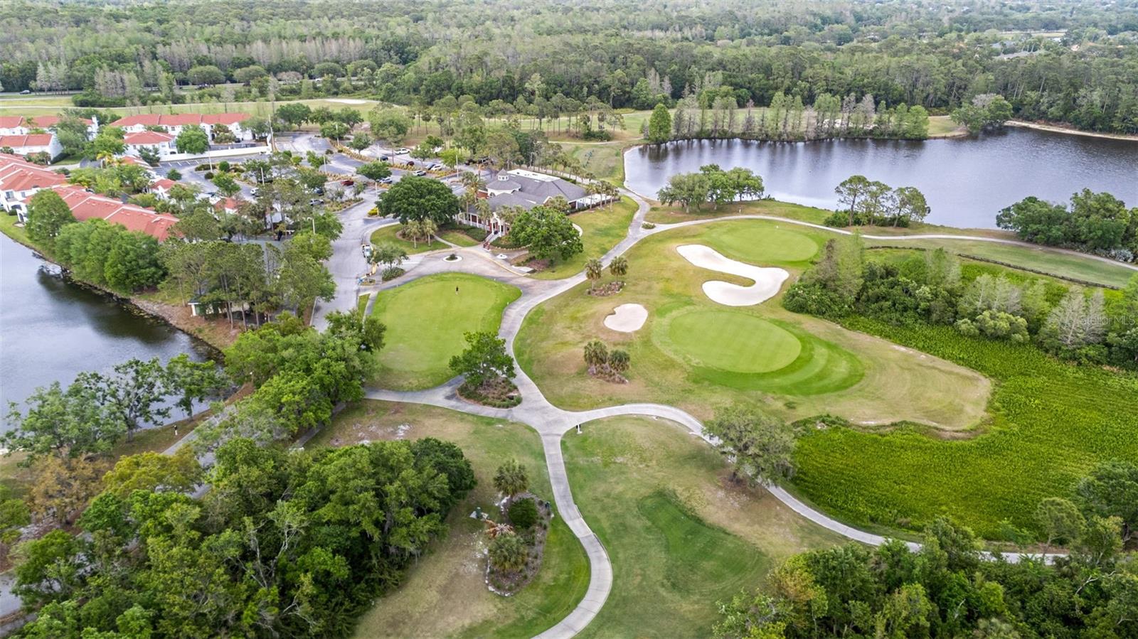 11815 MARBLEHEAD DR, TAMPA, FL, 33626