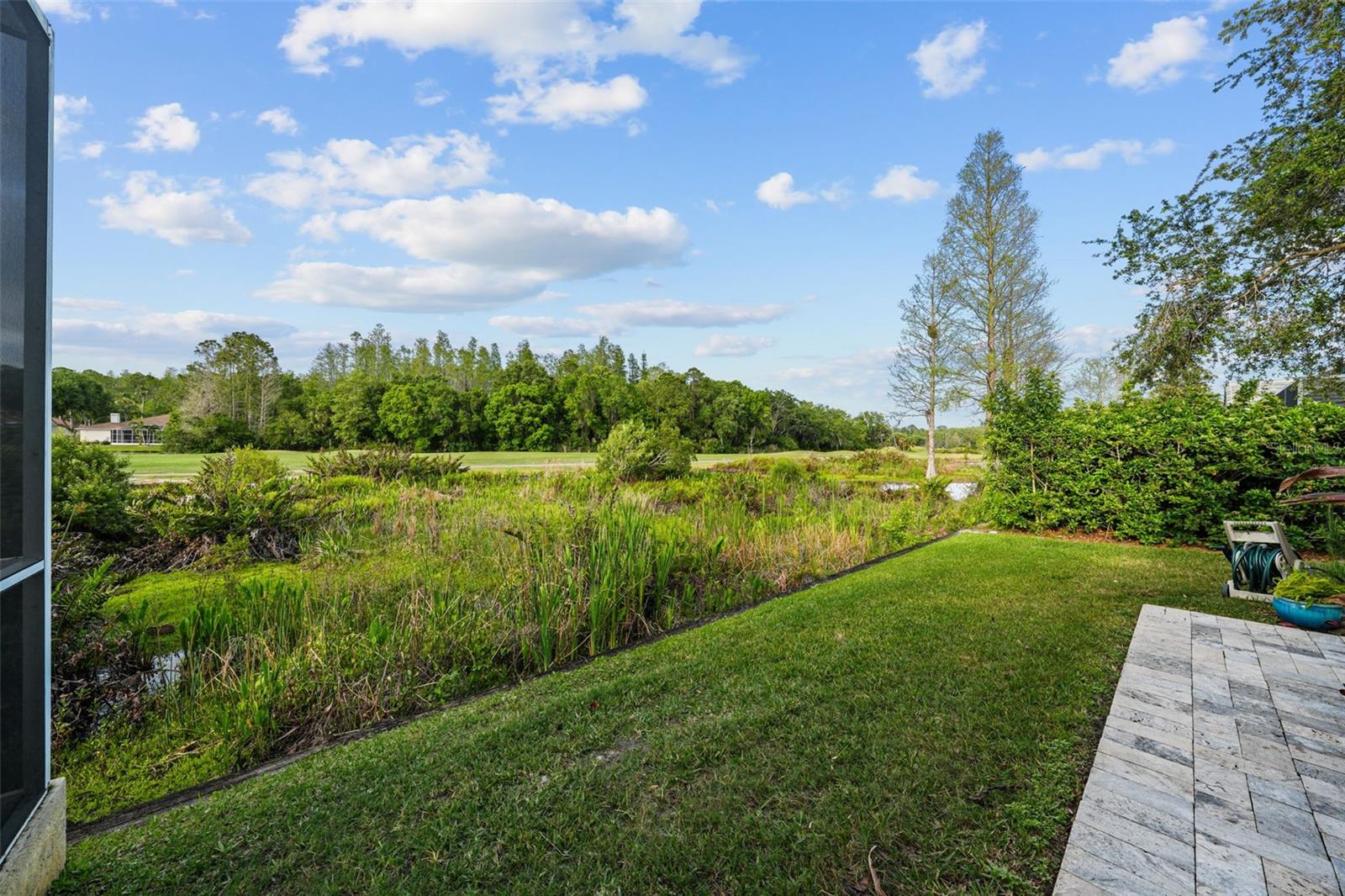 11815 MARBLEHEAD DR, TAMPA, FL, 33626