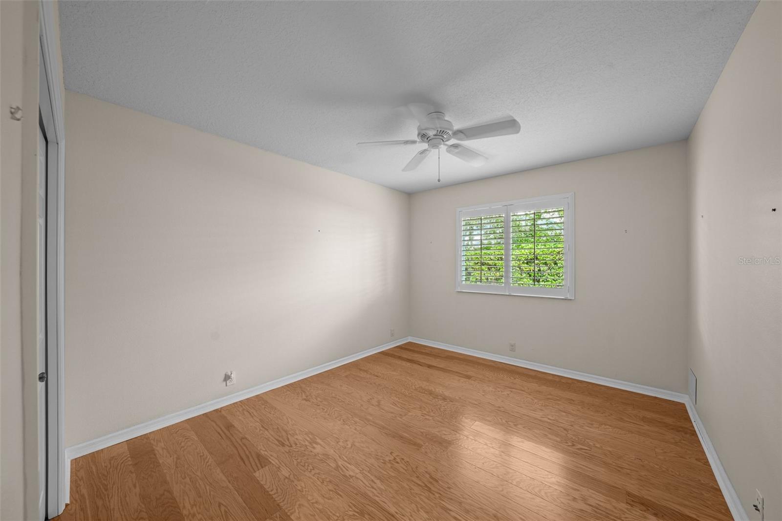 11815 MARBLEHEAD DR, TAMPA, FL, 33626