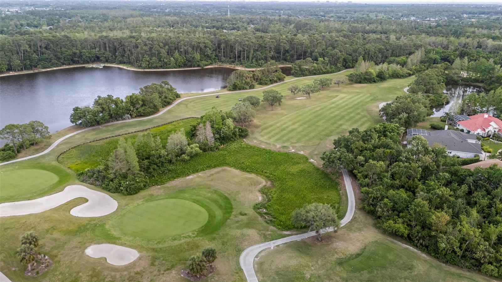 11815 MARBLEHEAD DR, TAMPA, FL, 33626