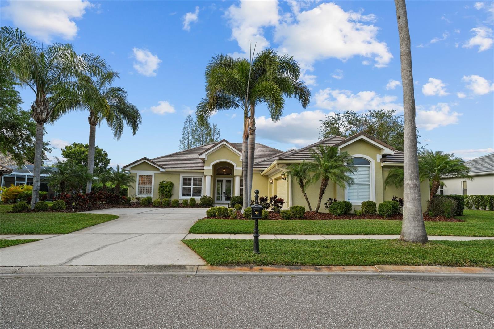 11815 MARBLEHEAD DR, TAMPA, FL, 33626