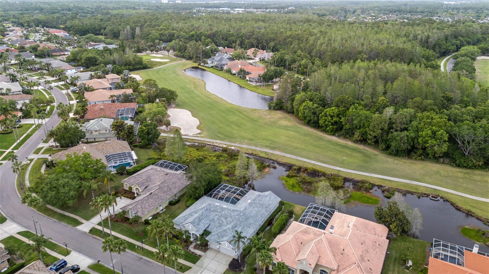 11815 MARBLEHEAD DR, TAMPA, FL, 33626