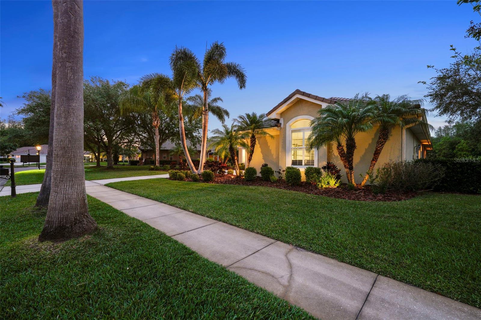 11815 MARBLEHEAD DR, TAMPA, FL, 33626