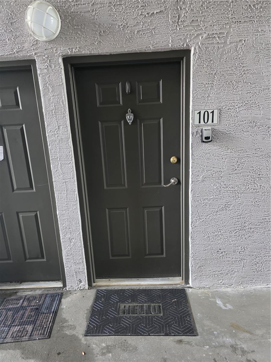 5024 SUNRIDGE PALMS DR #101, TAMPA, FL, 33617