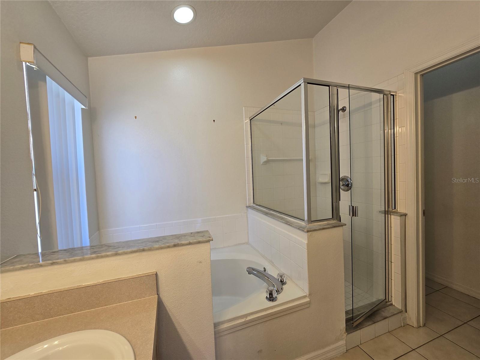 252 SADDLE RIDGE DR, DAVENPORT, FL, 33896