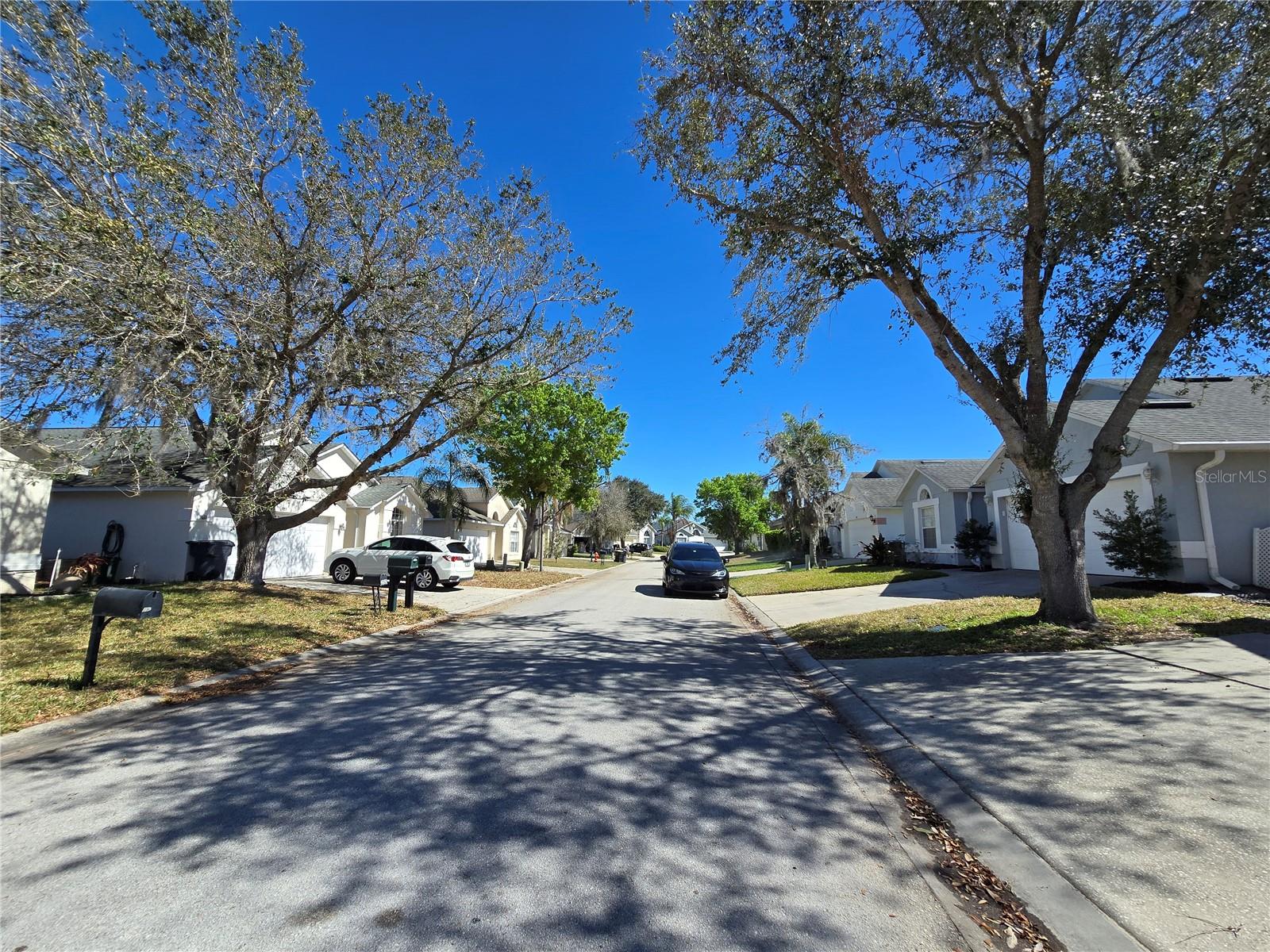 252 SADDLE RIDGE DR, DAVENPORT, FL, 33896