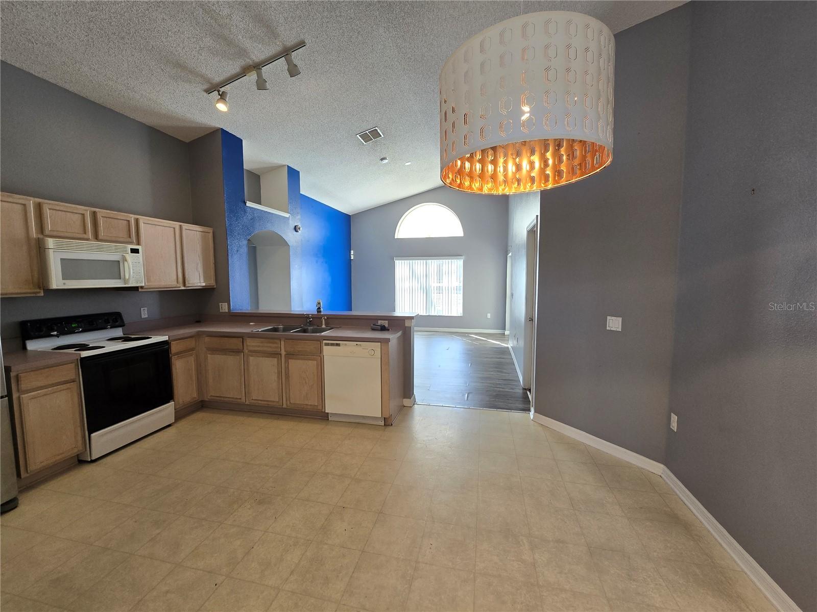 252 SADDLE RIDGE DR, DAVENPORT, FL, 33896