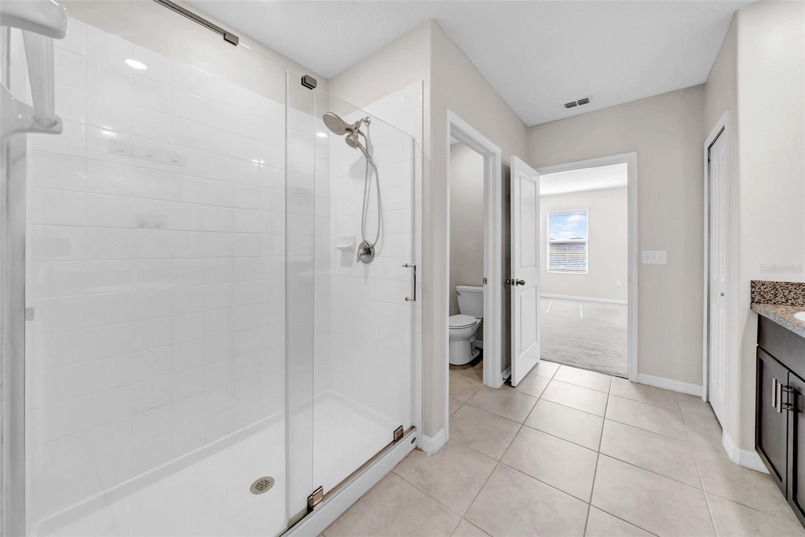 9505 LEMON DROP LOOP, RUSKIN, FL, 33573