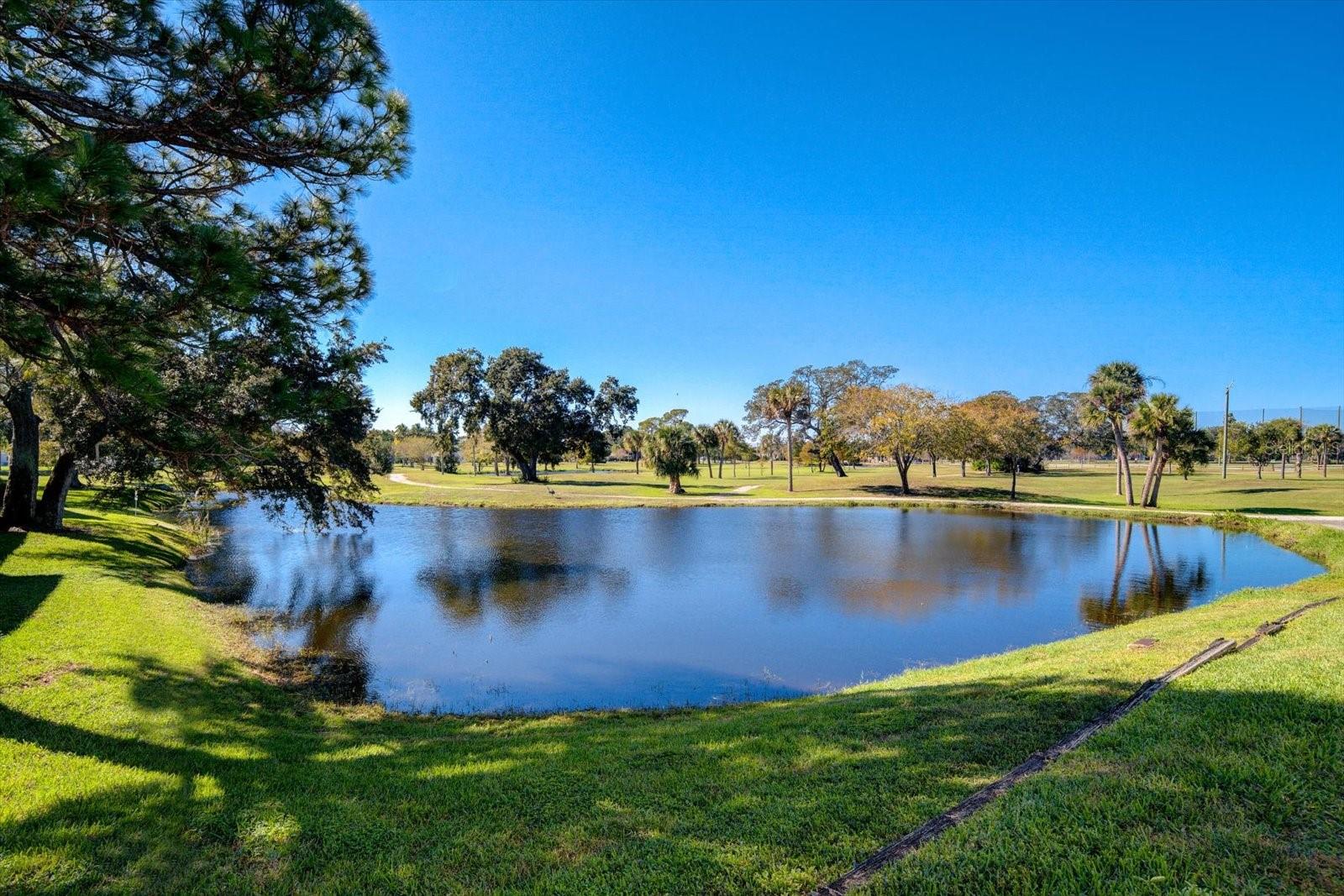 2210 GULF VIEW BLVD #22, DUNEDIN, FL, 34698
