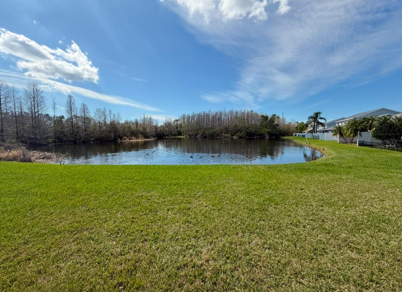 284 HEMINGWAY DR, OLDSMAR, FL, 34677