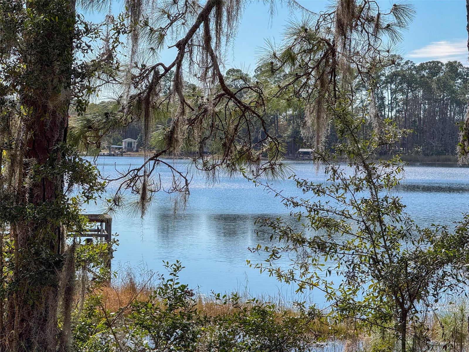 159 HIDDEN LAKE TRL, HAWTHORNE, FL, 32640