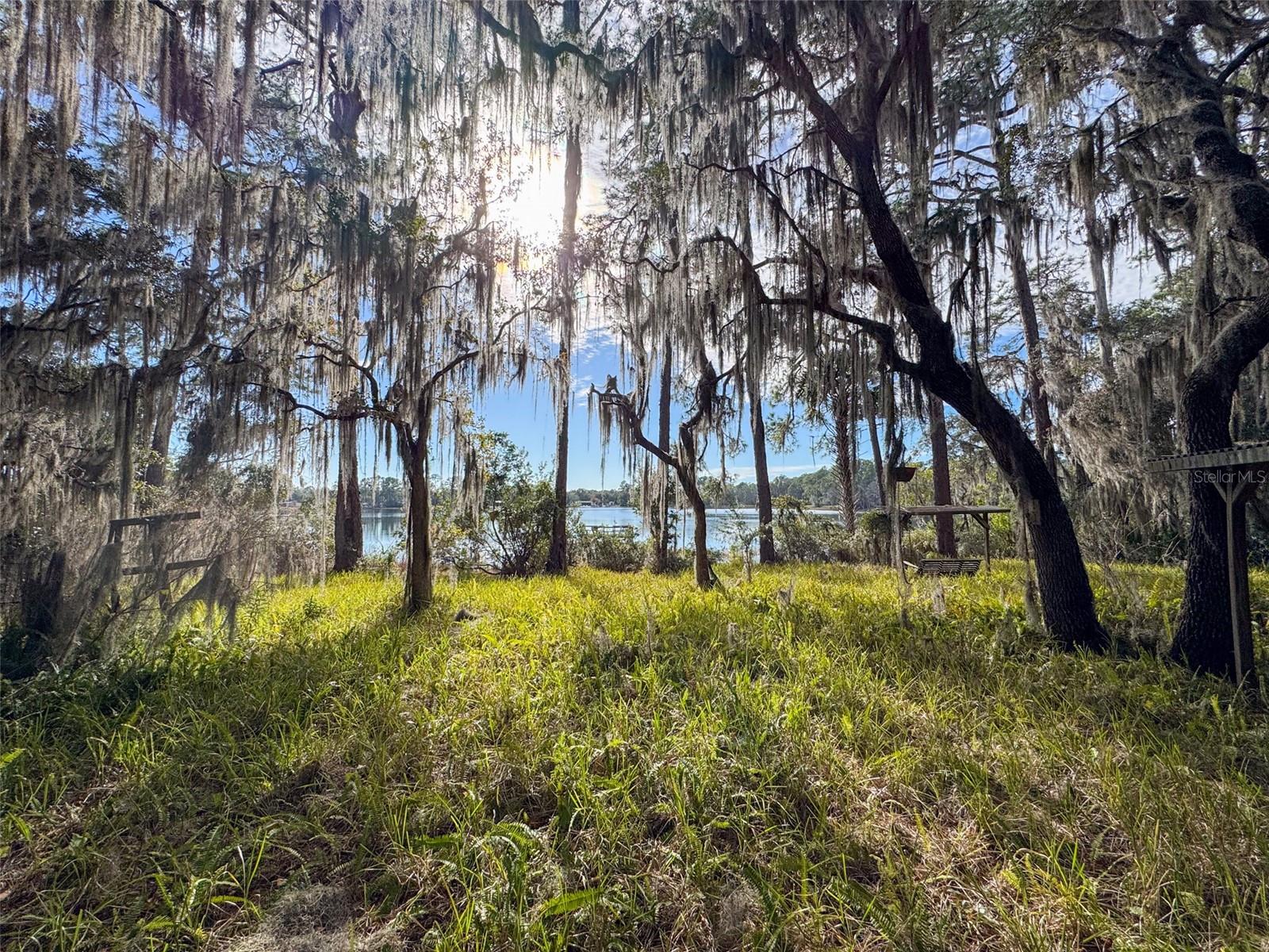 159 HIDDEN LAKE TRL, HAWTHORNE, FL, 32640