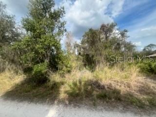 4908 GRAMPUS DR, SEBRING, FL, 33870