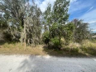 4908 GRAMPUS DR, SEBRING, FL, 33870