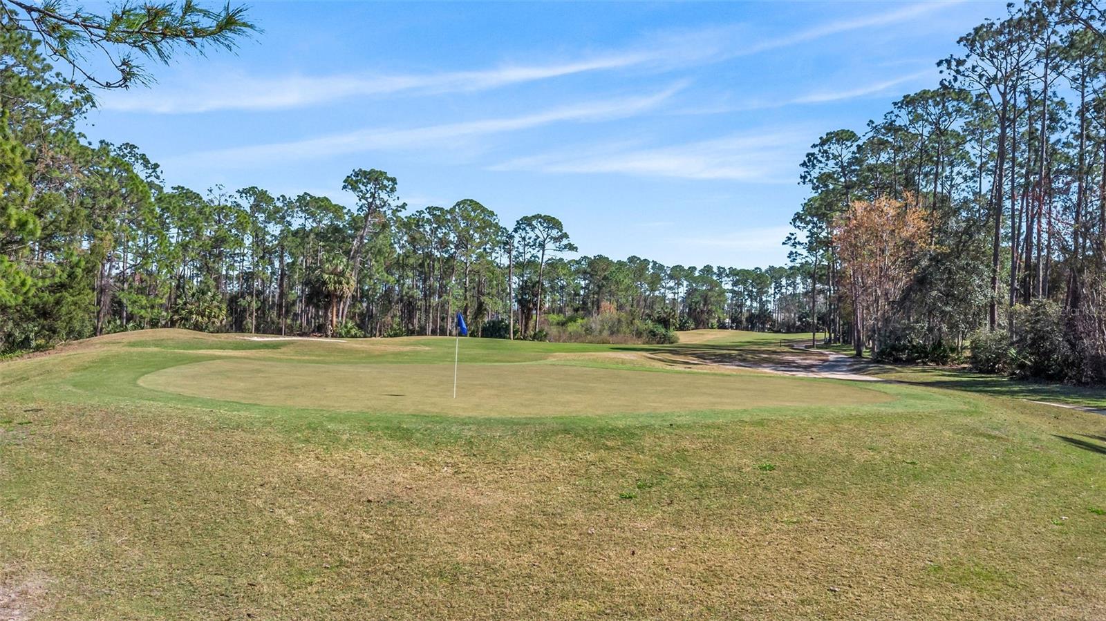 5 ELLINGTON DR, PALM COAST, FL, 32164